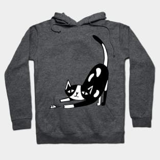 I love Cats Hoodie